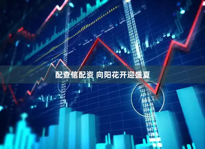 配查信配资 向阳花开迎盛夏