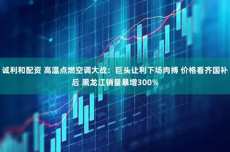 诚利和配资 高温点燃空调大战：巨头让利下场肉搏 价格看齐国补后 黑龙江销量暴增300%