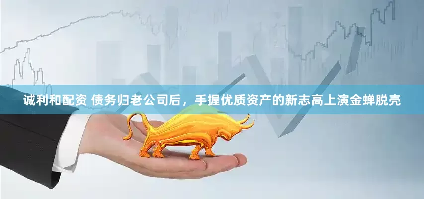 诚利和配资 债务归老公司后，手握优质资产的新志高上演金蝉脱壳